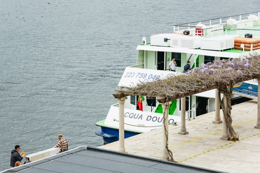 Porto - Régua - Porto Upstream Douro Cruise & Tour - Who this Porto to Régua cruise suits best