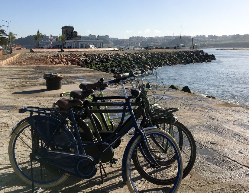 Porto: Riverside Panoramic E-Bike Tour - Foz do Douro and Castelo do Queijo, from river romance to sea air