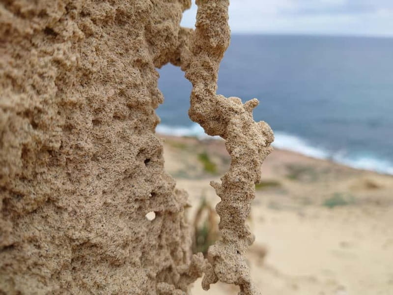 Porto Santo: Island Highlights 4x4 Tour with Hotel Transfers - The Ride Feel: Small Group, Safety Focus, and What Seat Position Changes