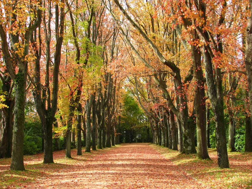 Porto: Serralves Foundation All Access Pass - Who This Pass Fits Best