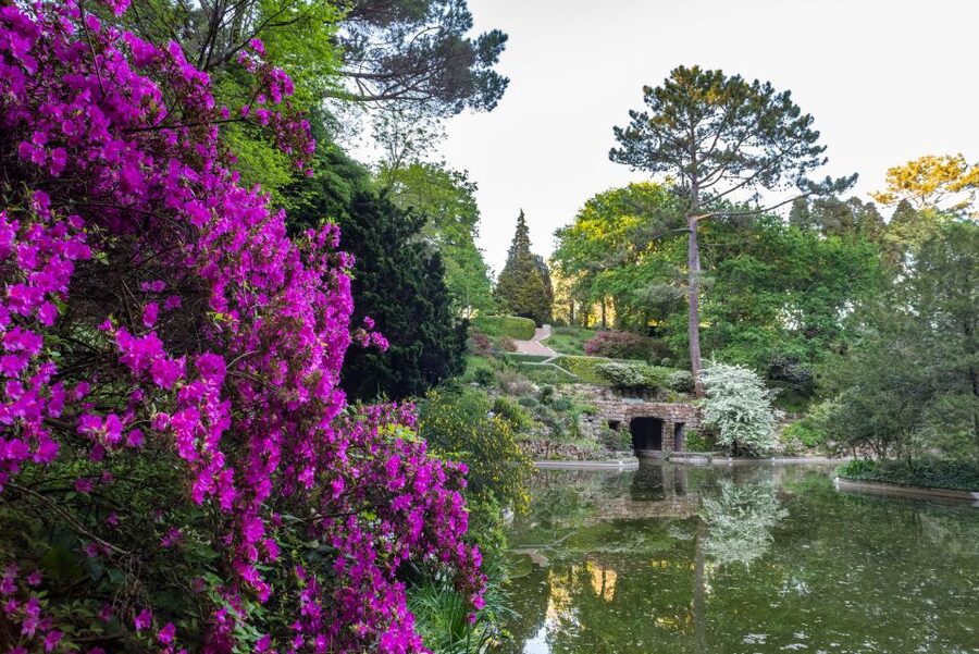 Porto: Serralves Foundation All Access Pass - Serralves Park and the Treetop Walk: The 18-Hectare Reason People Come Back