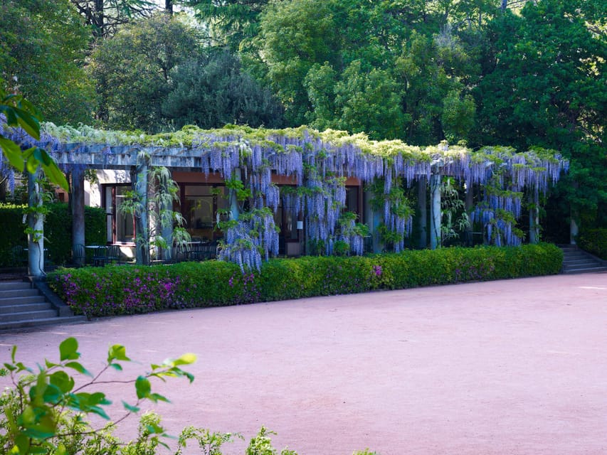 Porto: Serralves Foundation All Access Pass - Price and Value for a Self-Guided Design and Art Day
