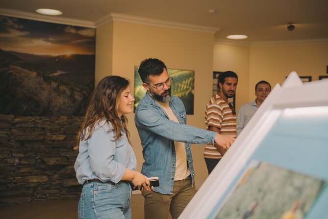 Porto: Taylor's Port Cellars Visit & Port Wine Tasting - The self-guided format: audio tour in 13 languages