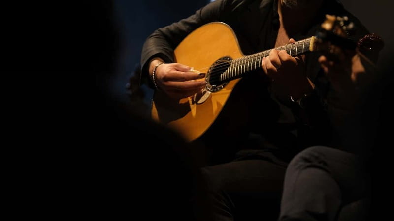 Porto: The highest-rated traditional fado concert (downtown) - Why Ideal Clube de Fado is the kind of fado you should chase