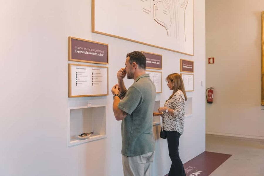 Porto: The Wine Experience, Best Wine Museum in the World - WOW Porto Wine Museum: What You’re Really Booking in 90 Minutes