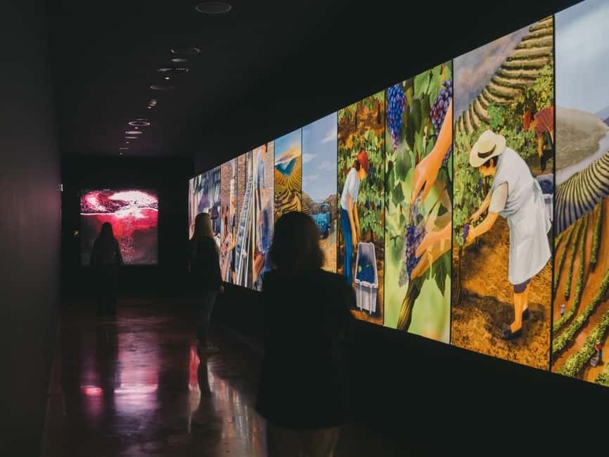Porto: The Wine Experience, Best Wine Museum in the World - Interactive Wine Stations: What You Actually Do Besides Read