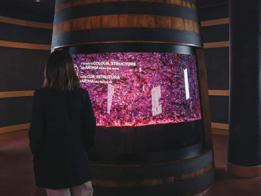 Porto: The Wine Experience, Best Wine Museum in the World - Portugal’s Wine Map: Douro to Madeira and Beyond