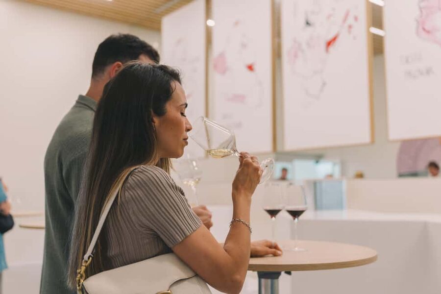 Porto: The Wine Experience, Best Wine Museum in the World - What About the WOW Complex After You Taste?