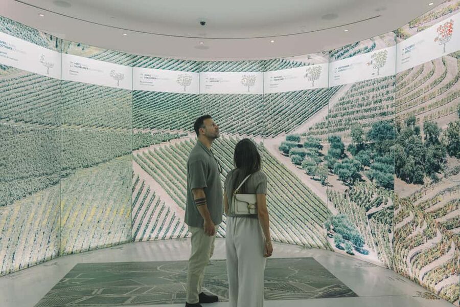 Porto: The Wine Experience, Best Wine Museum in the World - Timing Tips: When to Go so You Don’t Feel Rushed