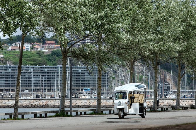 Porto Tuk Tuk: Clérigos, Seaside & Viewpoints - with Options - The Douro bridges: Luis I and Maria Pia facts you can use
