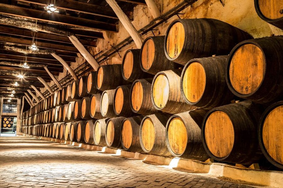 Porto: Tuk-Tuk Tour, Douro River Cruise, and Wine Tasting - Price and value: why $64 can work for short Porto trips