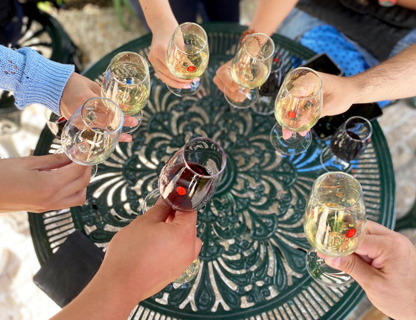 Porto: Wine Tasting with Tapas Walking Tour - A 3.5-hour Porto plan that teaches you how to taste