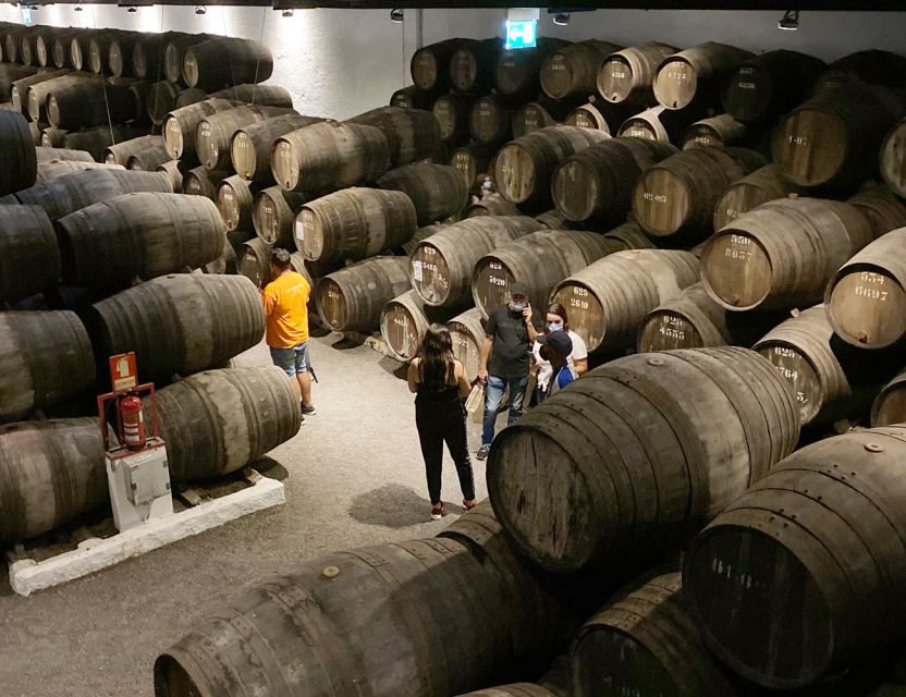 Porto: Wine Tasting with Tapas Walking Tour - The Porto walk: cobblestones, viewpoints, and city stories