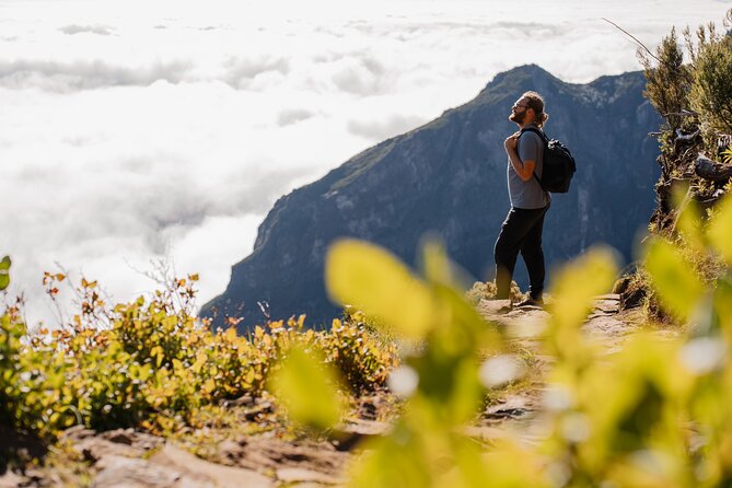 PR1 Sunrise Pico do Arieiro Self-Guided Hiking Transfer - Meeting at 5:30 am: Pickup Zones and Ride Time Reality