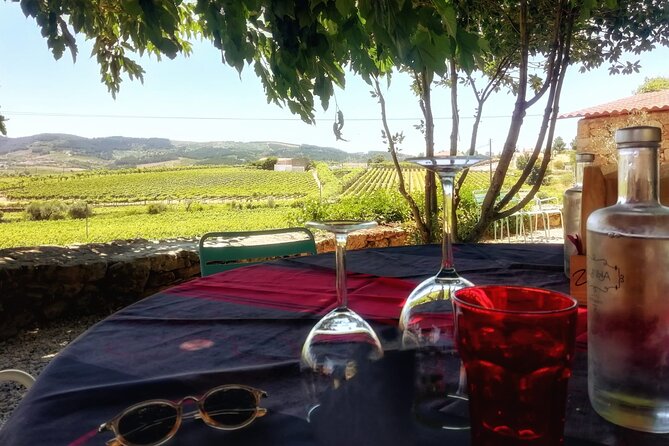 Premium Douro Valley Small-Group Tour, Wine Tasting, Lunch & Boat - Getting from Porto to the Douro Valley without wasting your day