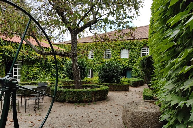 Premium Douro Valley Small-Group Tour, Wine Tasting, Lunch & Boat - Wine and alcohol pacing: how to enjoy without feeling wrecked