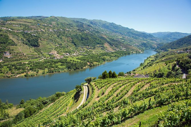 Premium Douro Valley Small-Group Tour, Wine Tasting, Lunch & Boat - Price and value: what $181.39 really buys you