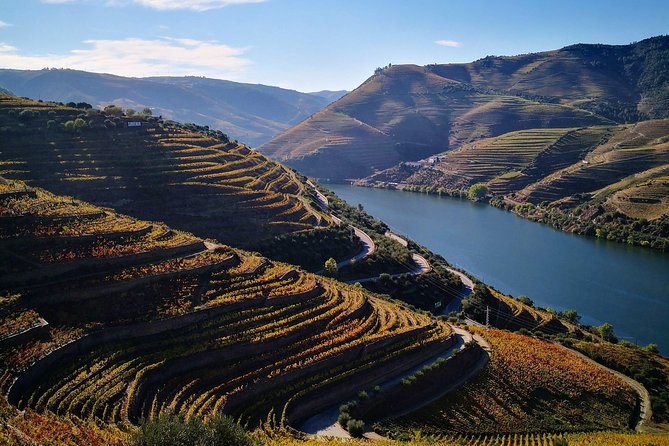Premium Private Douro Tour: 3 Wineries with Tastings & Lunch - Key things to know before you go
