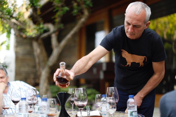 Premium Private Douro Tour: 3 Wineries with Tastings & Lunch - A long Douro day that starts like Porto proper