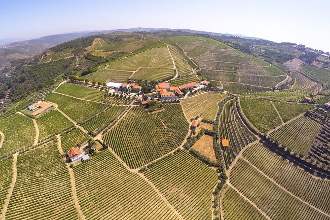 Premium Private Douro Tour: 3 Wineries with Tastings & Lunch - Quinta de Tourais: where Douro DOC and Port meet the real process