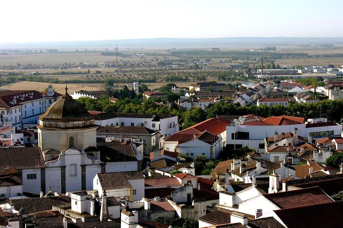Private Day Tour With Guide to Évora and Monsaraz - Key Highlights Worth Planning For