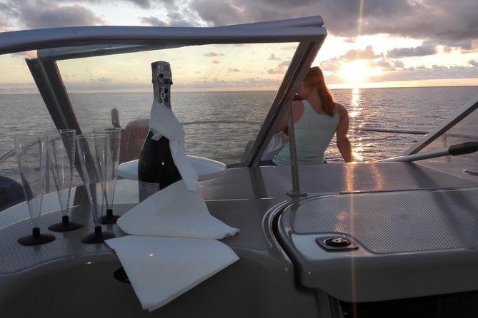 Private Dolphin and Whale Watching Tour in Madeira - A Short List of What Makes This Tour Work