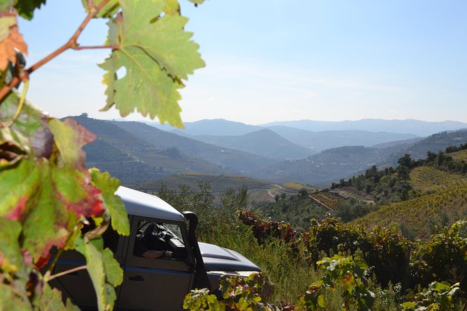 Private Douro 4x4 Adventure from Porto with Deluxe Pic nic - Private Douro 4x4 From Porto: A Smooth Day With Real Sight Stops