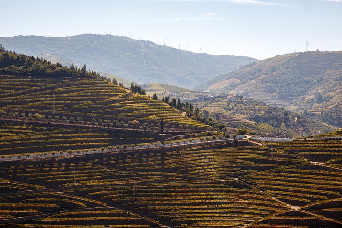 Private Douro 4x4 Adventure from Porto with Deluxe Pic nic - Your 8:00 am Pickup in Central Porto, Then You Can Relax