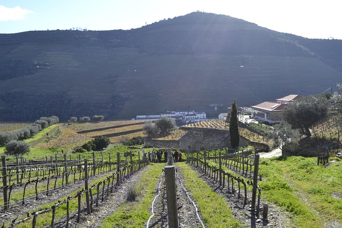 Private Douro 4x4 Adventure from Porto with Deluxe Pic nic - Quinta Seara d’Ordens: Winery Visit With Port and Wine Tasting