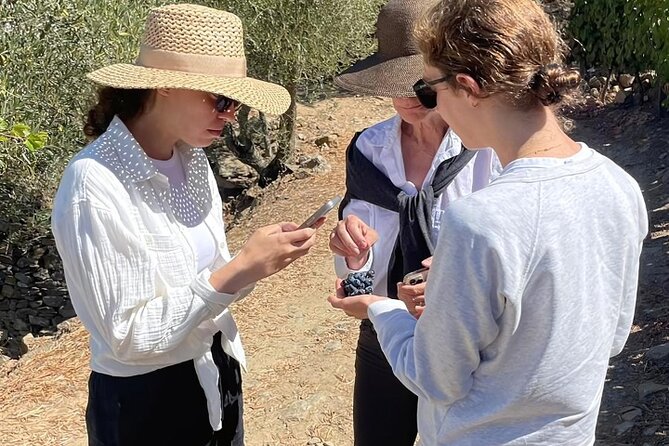 Private Douro 4x4 Adventure from Porto with Deluxe Pic nic - Deluxe Picnic, Wine, and Timing: How the Food Builds the Day