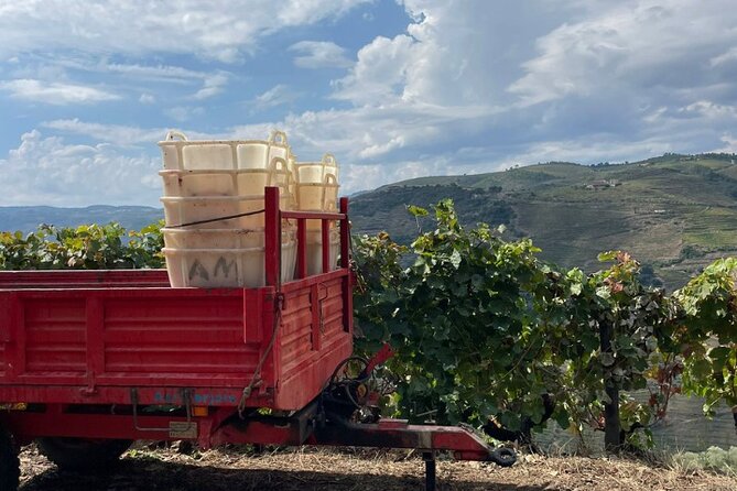 Private Douro 4x4 Adventure from Porto with Deluxe Pic nic - Pricing and Value at $393.20: Private Day Trip Logic