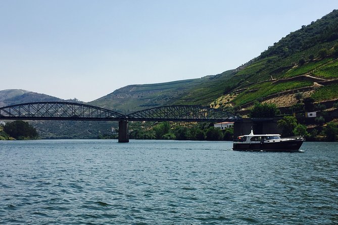 Private Douro Valley Food and Wine Tour From Porto - Stop 4: Douro Valley Viewpoints for Photos and Short Breaks