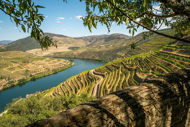 Private Douro Valley Tour: Boutique Winery & River Cruise - A Private Douro Day From Porto, With the Driver Handled