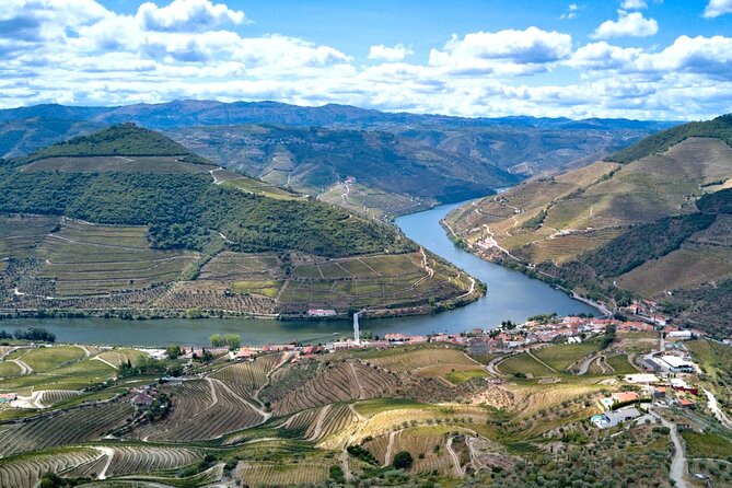 Private Douro Valley Tour: Boutique Winery & River Cruise - Quinta do Cume Wine Tour: Tastings With Vine-Country Views
