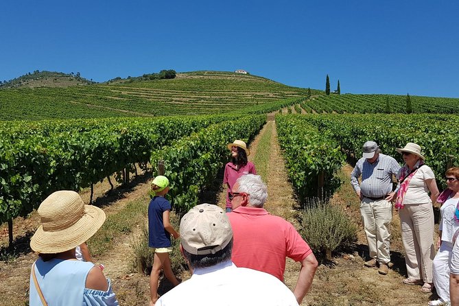 Private Douro Valley Wine Tour: 2 Wine Estates, Lunch and Cruise - Key things that make this Douro tour feel worth your money