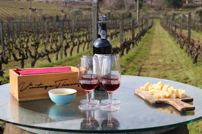 Private Douro Valley Wine Tour: 2 Wine Estates, Lunch and Cruise - The Douro River cruise from Pinhão: what you will actually get