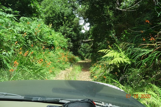 Private Full Day Off-Road Tour in Madeira - Porto Moniz natural swimming pools, lunch with a view, then north coast cliffs