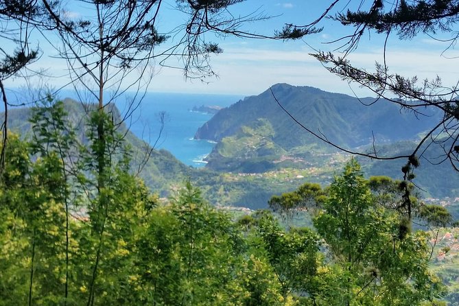 Private Full Day Off-Road Tour in Madeira - Your guide shapes the route, and John João and Miguel stand out