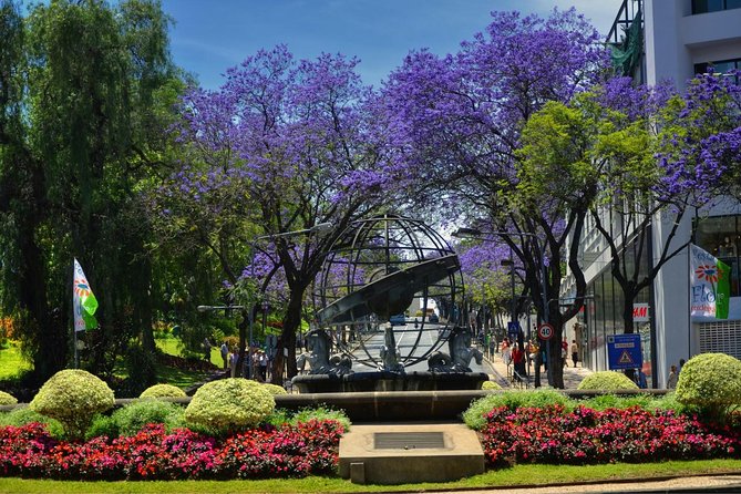 Private Funchal City Tour by Tukxi - The Famous Central Market of Funchal: Where Daily Life Shows Up