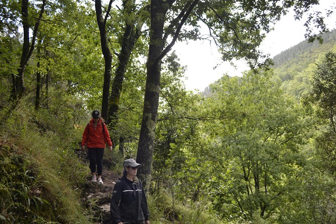 Private Geres National Park Tour with Lunch and Transfers - Lunch in the park: picnic with a view, or a warm restaurant meal