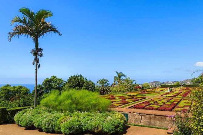 Private Half day tour around Madeira Island - Key Highlights You Will Actually Feel