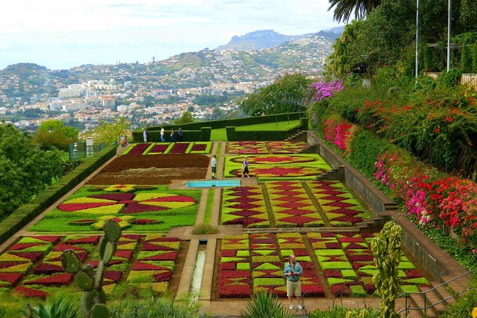 Private Half day tour around Madeira Island - Price and Value: What You Pay Per Person