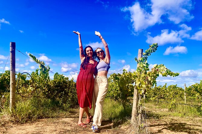 Private Lisbon-Arrábida Wine Tour: 3 Wineries, Coast & Heritage - Why Setúbal and Arrábida are the best “day trip” fuel
