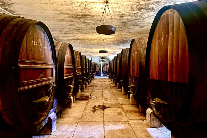 Private Lisbon-Arrábida Wine Tour: 3 Wineries, Coast & Heritage - Price and what about $156 is actually good value