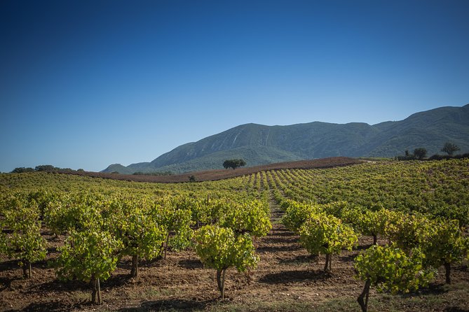 Private Lisbon Arrabida Wine Tour: Food & Wines, Mountain and Sea - Parque Natural da Arrábida: where the Atlantic photos happen