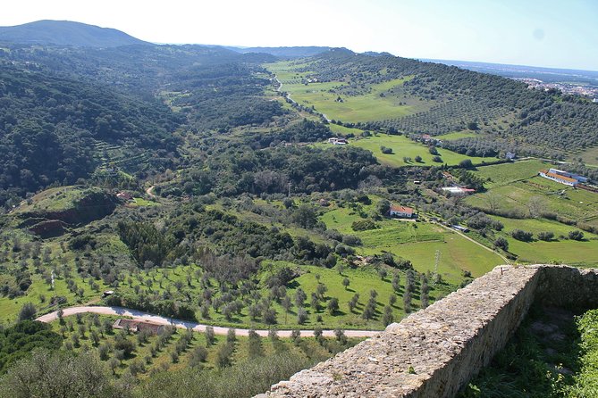 Private Wine Tasting in the Setúbal Wine Region, from Lisbon - Price and Value: What $151.16 Buys You