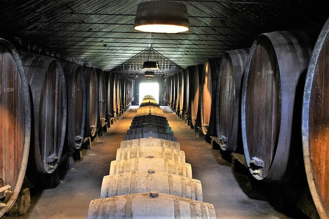 Private Wine Tasting in the Setúbal Wine Region, from Lisbon - The 9:30 Start: How the Morning Sets Up Your Tastings
