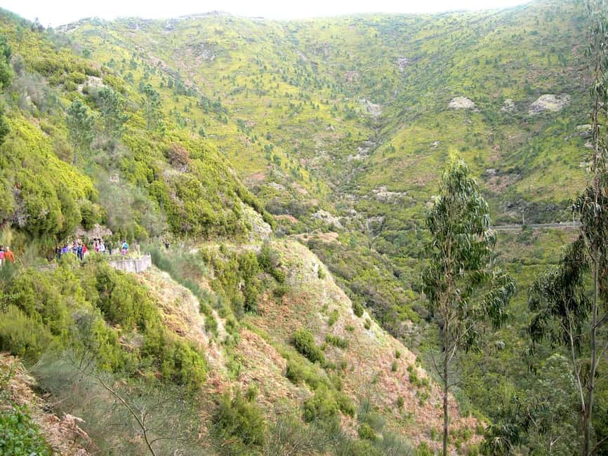 Rabaçal: 25 Fontes & Risco Levada Hiking Transfer - Key points before you go