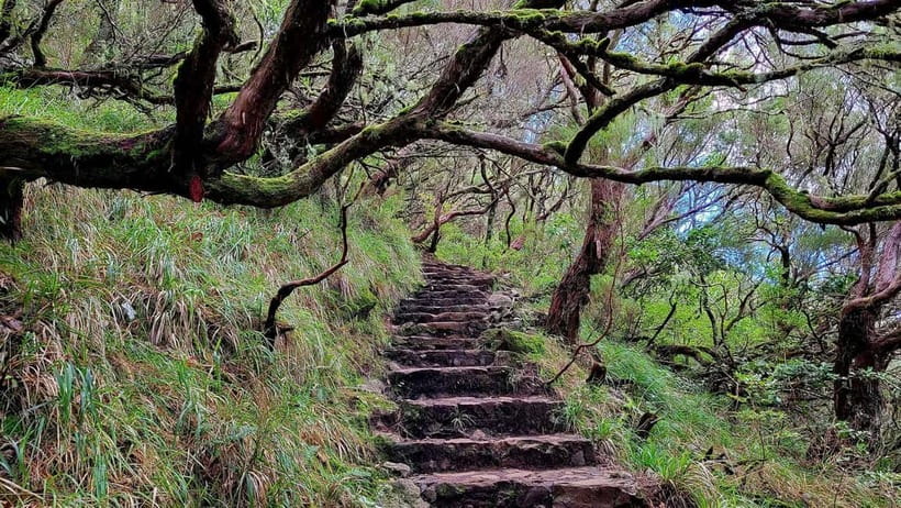 Rabaçal: 25 Fontes & Risco Levada Hiking Transfer - Safety and fitness reality check: who should take this, and who should not