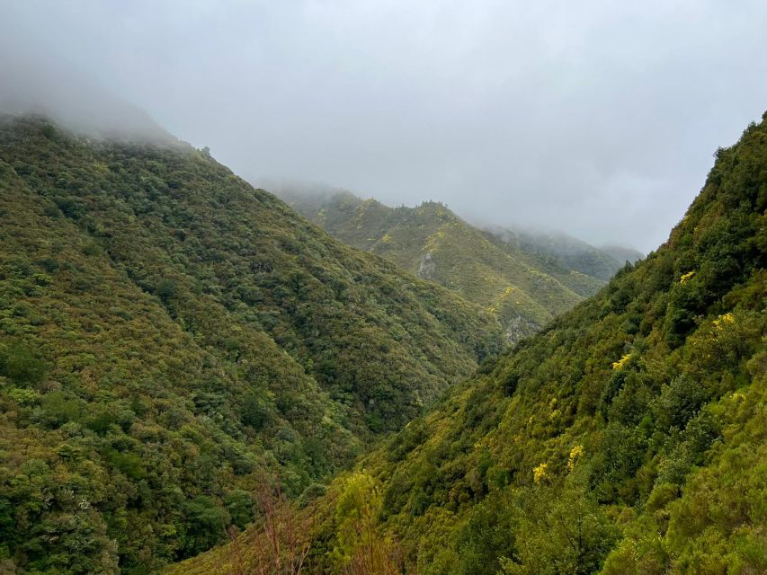Rabaçal: 25 Fontes & Risco Levada Hiking Transfer - Why 25 Fontes and Risco Levada are worth your limited Madeira time